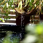 Logis Hotel- Restaurant Le Rialto 2* Le Sequestre