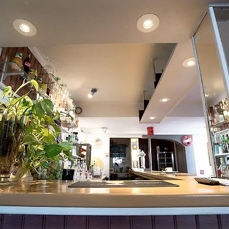 Logis Hotel- Restaurant Le Rialto 酒店 勒斯奎斯特勒