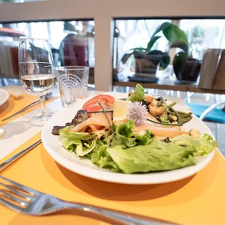 Logis Hotel- Restaurant Le Rialto 酒店 2*