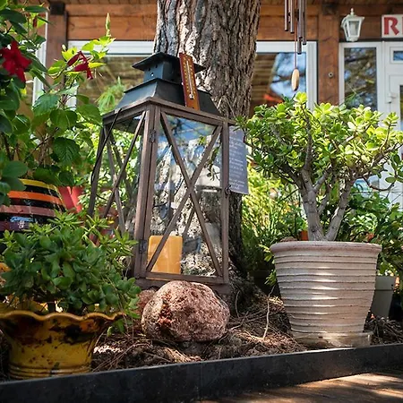 Logis Hotel- Restaurant Le Rialto 2*