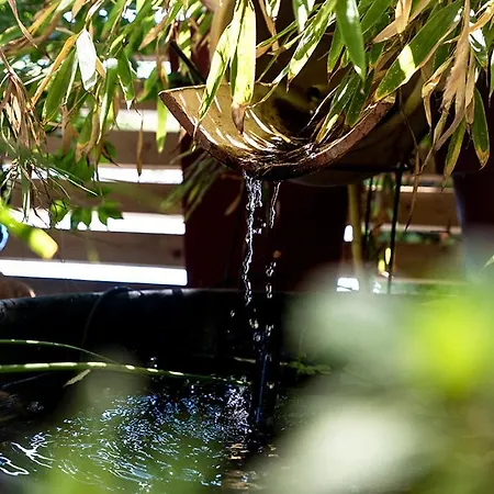 Logis Hotel- Restaurant Le Rialto 2* 勒斯奎斯特勒